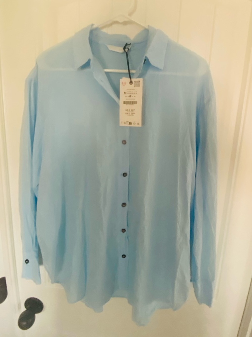 Zara Pale Blue Sheer Button-Up Blouse